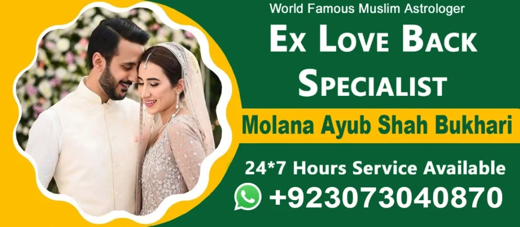 Ex Love Back Astrologer